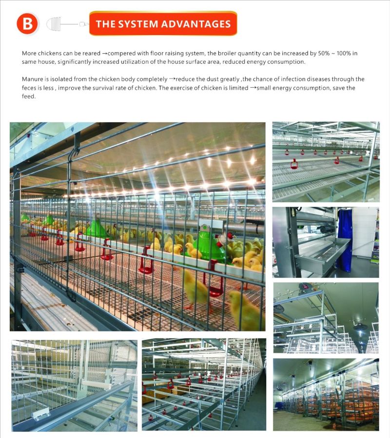 Broiler Automatic Battery Chicken Cage Make of Hot Galvanized Material Poultry Farm