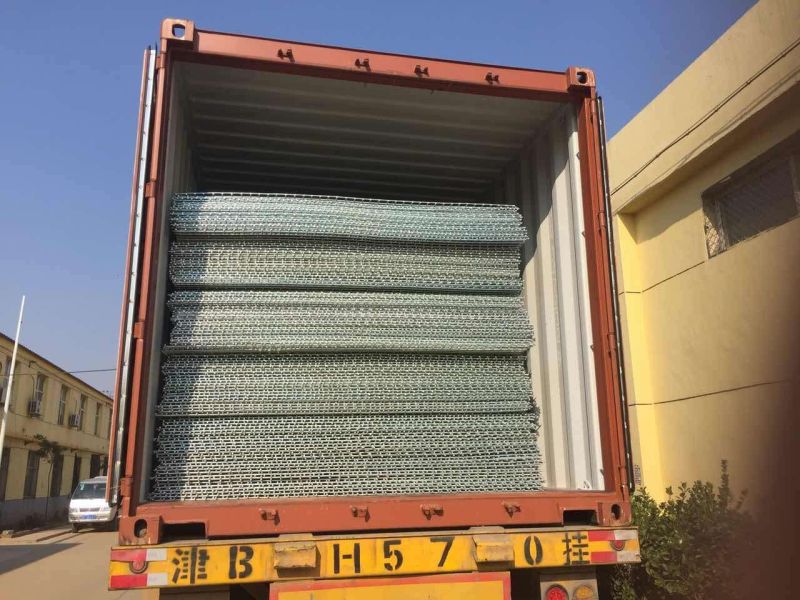 Hot Dipped Galvanized Welded Wire Mesh Sheet Panel From China