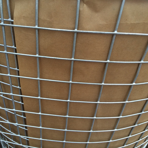 1X1 Galvanized Welded Wire Mesh From China