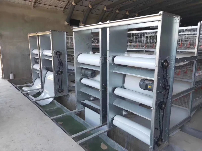 Galvanized Automatic Laying Hens Chicken Broiler Battery Cage