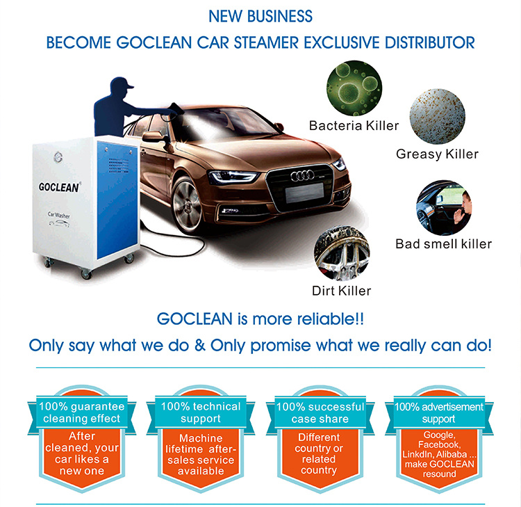 220V Car Washing Machine for Washing Car Seats