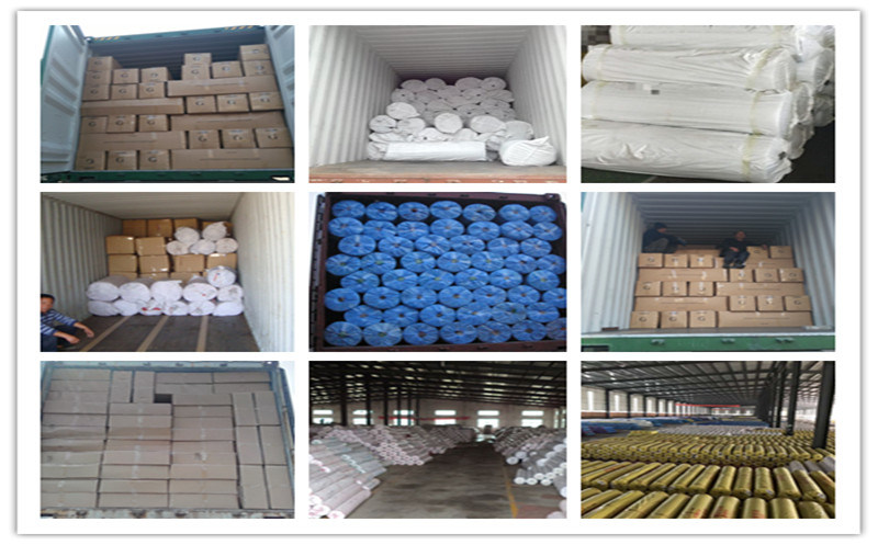 Free Samples Soft Rubber Flooring / 100% Virgin PVC Vinyl Loop Mats/PVC Carpet