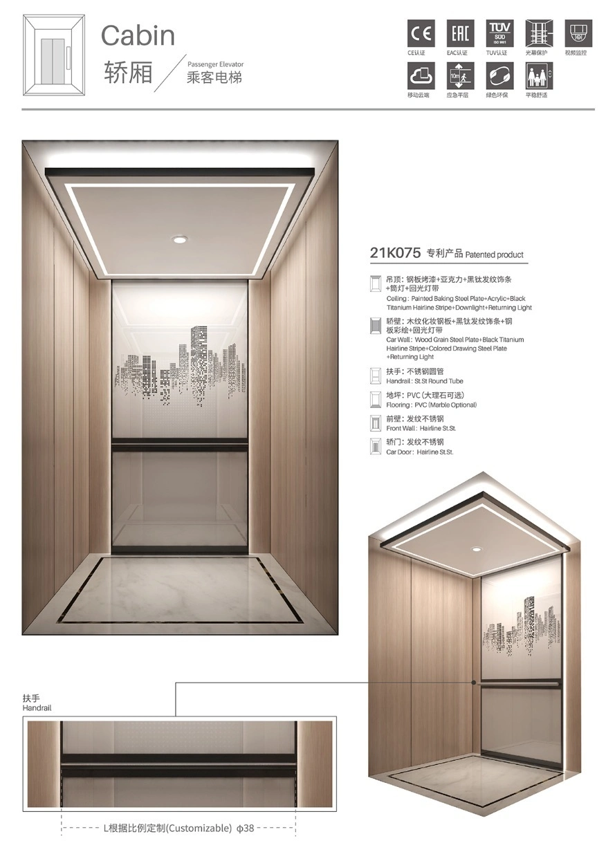 Syney Safe 800kg 10 Persons Villa Passenger Lift with Modern Style