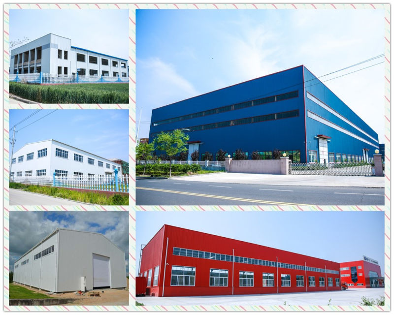 Certificated Light Frame Prefaricated Steel Structure Shed Buildings Carport/Garage
