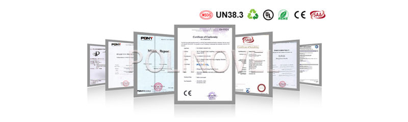 Polinovel Factory 80 Volt 300ah Custom Wholesale Industrial Electric Lithium Ion Forklift Truck Battery