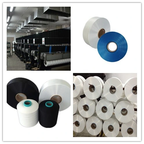 Nylon 6 High Tenacity Yarn 50d to 1680d