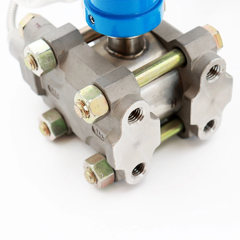 Double Flange Smart Differential Pressure/Liquid Level Transmitter for Corrosive Media