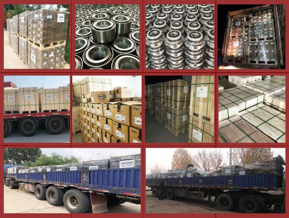 Seat Cordoba Auto Parts 357498625b 191498625A Dac407237 Vkba1358 1h0407625 Wheel Bearing Ball Bearing