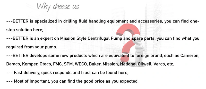 Mission Sandmaster Style Short Pump 4X3X13 Cement Pump
