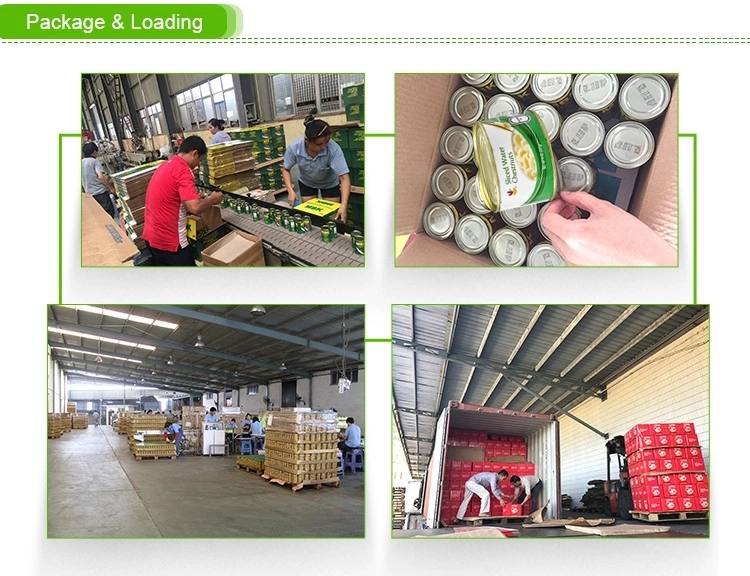 Canned Food Products Hot Sale Canned Mixed Vegetables in Brine