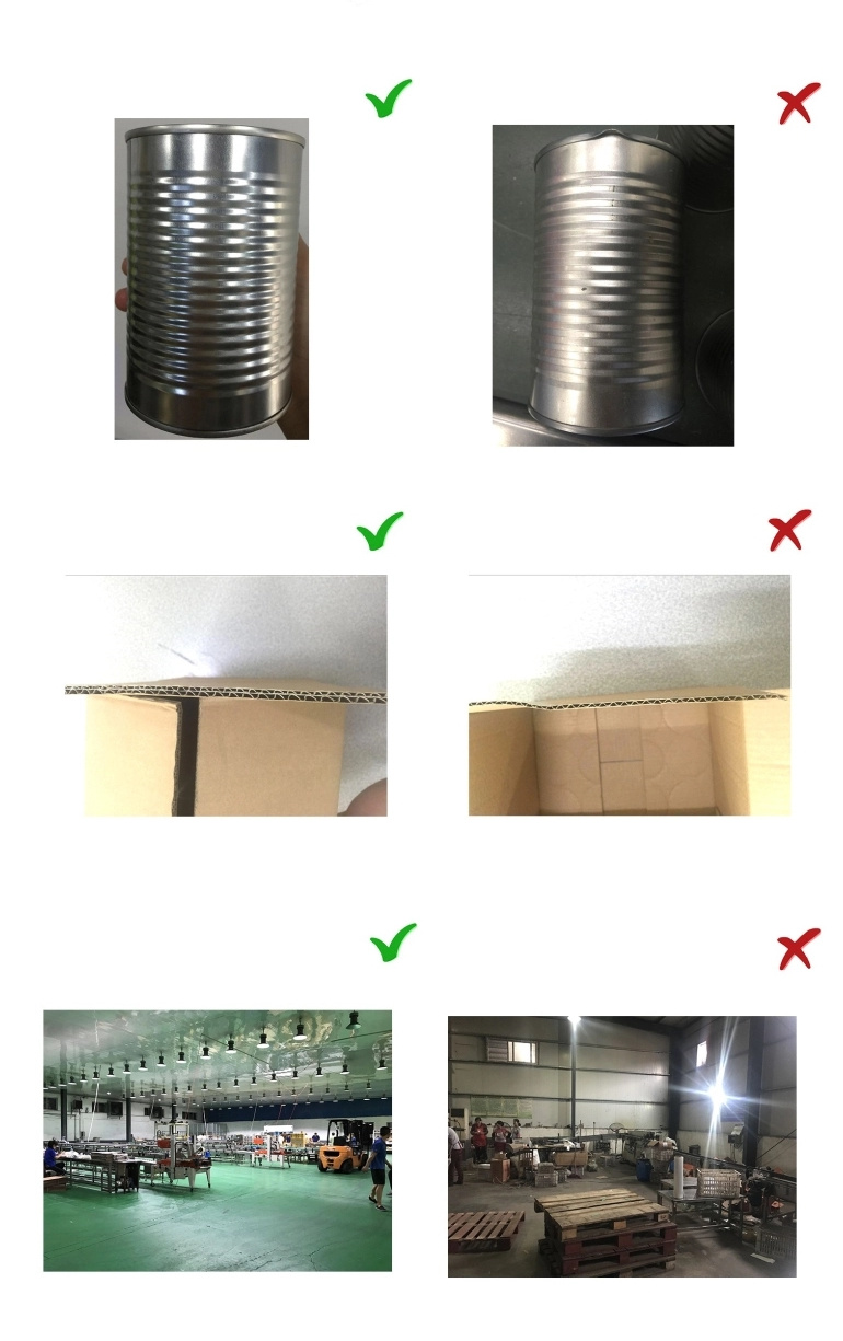 Canned Food Canned Braised Peanut in Sauce Canned Vegetables Easy Open and Ready to Eat 850g