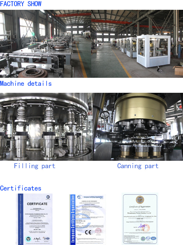 Automatic PLC 2 in 1 Gas Beverage Drinking Filling Sealing Machine for Can Beer, Cola, Soft Drinks