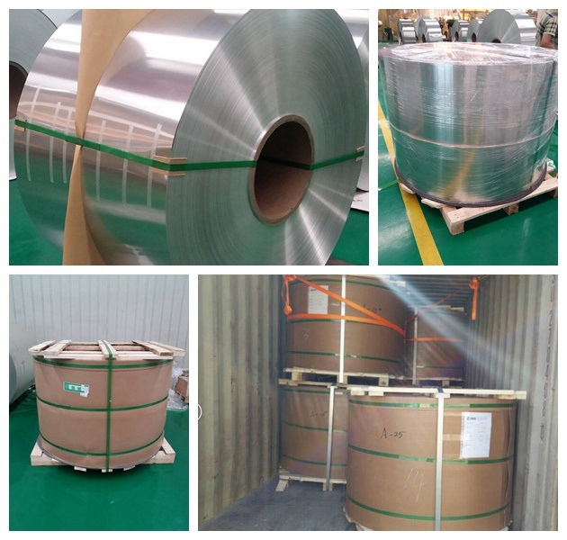 Aluminum Coils for Sot 200 202 206 Aluminum Eoe