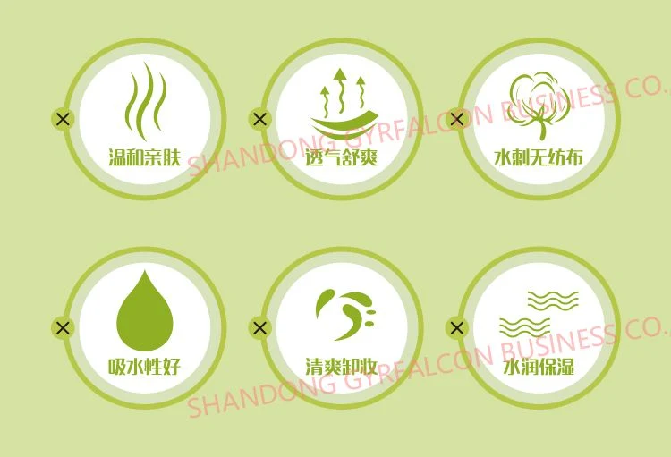 Lady Make-up Remover Wet Wipes OEM Wet Wipes Cleaning Wipes