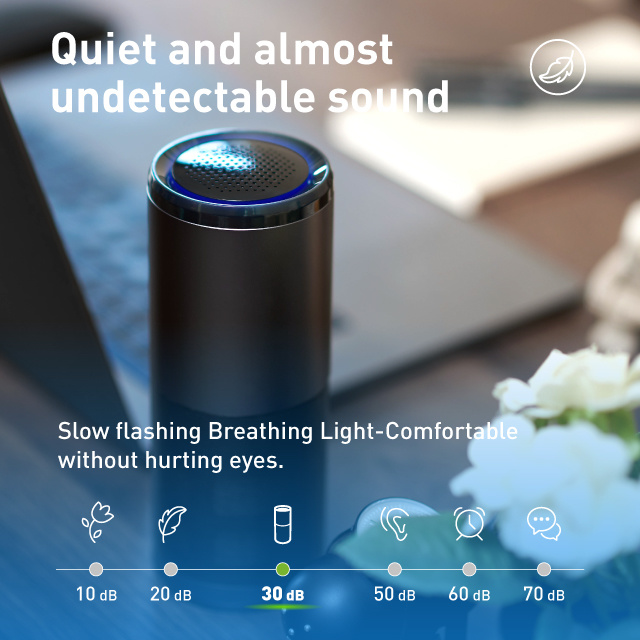 Ce Easy Cary Portable USB 13grade HEPA Carbon Filter Car Air Purifier