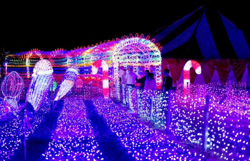 Festival Lights Animals Park Decoration Sea Swallow Lighting Decoration LED Motif Lights