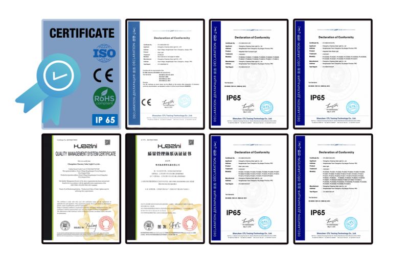 LED Solar Wall Lights for Gardens with Ce RoHS Certificates