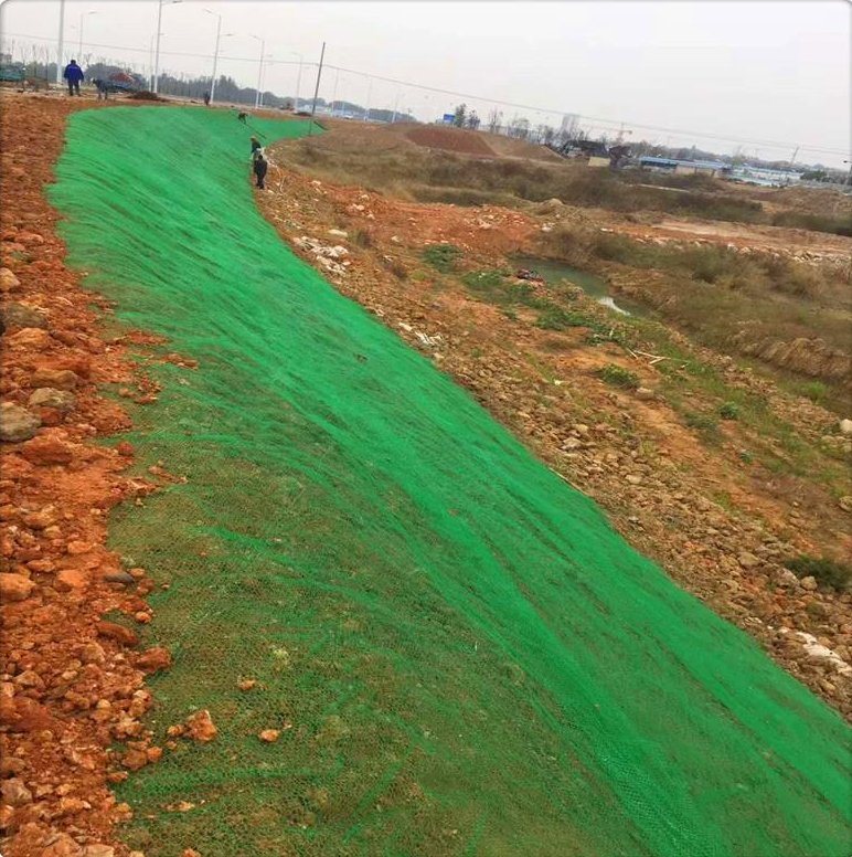 3D Geomat Grass Planting Plant 3D Geomat for Drainage