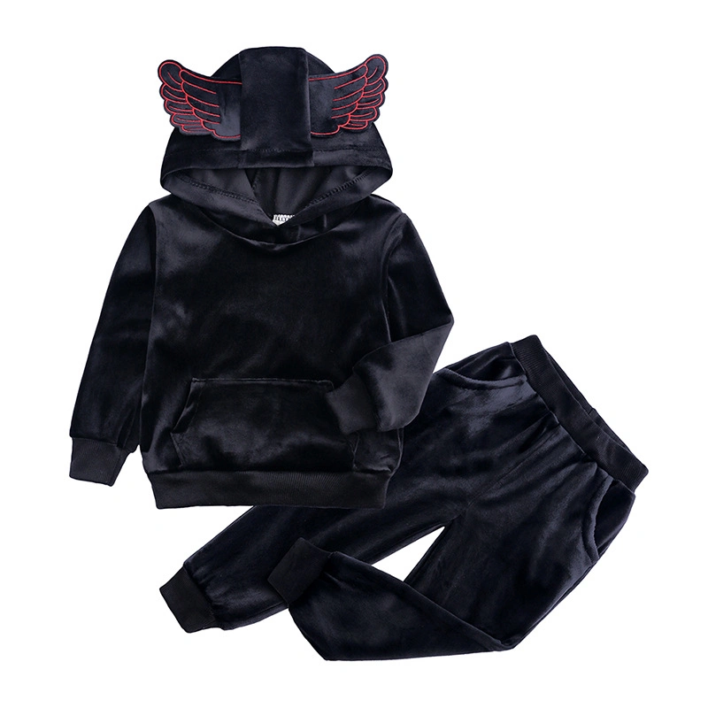 Custom Logo Hot Sale 100% Velvet Wing Decoration Winter Fashionable Baby Suit Kids Hoodies Set