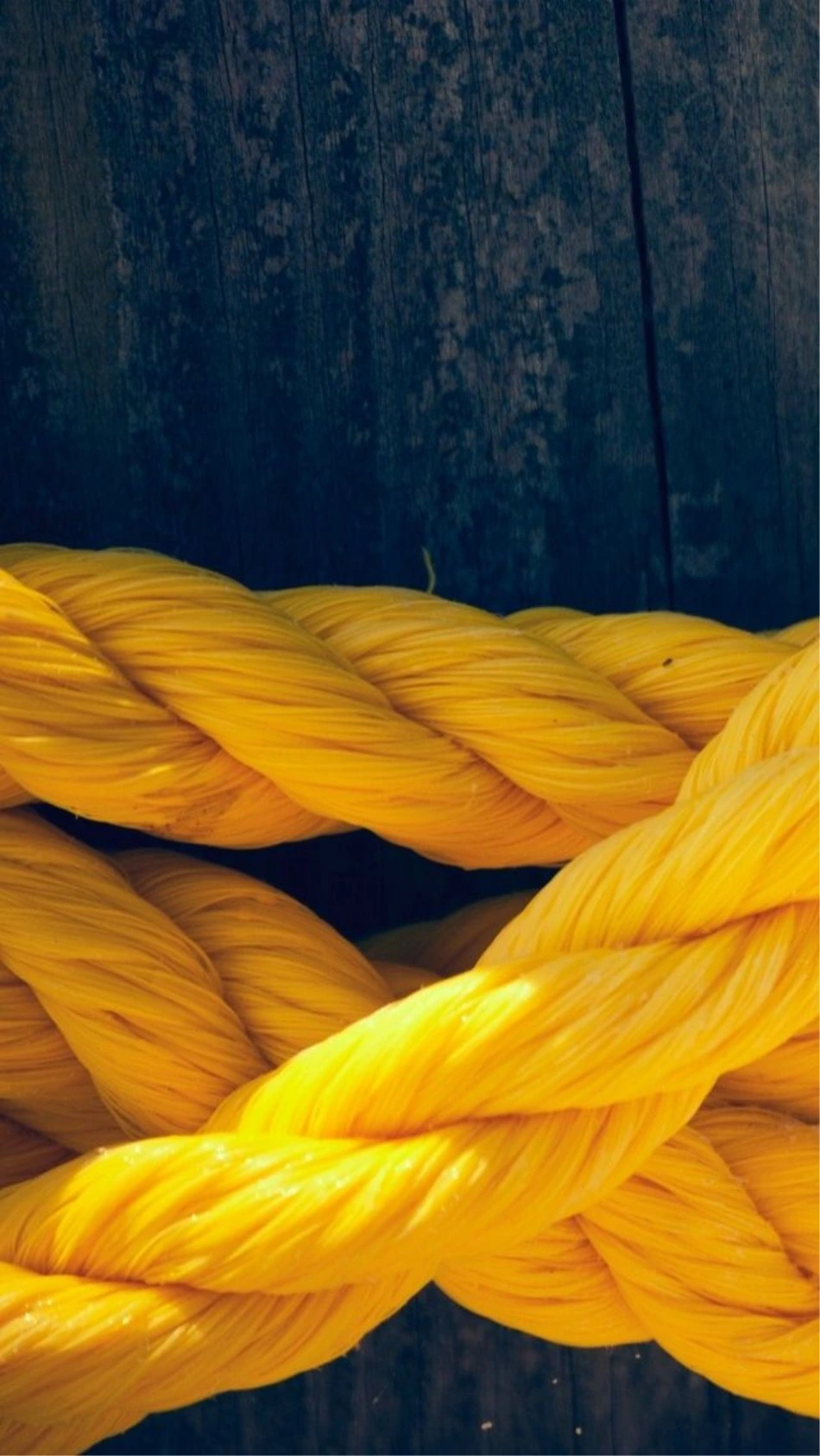 China PP Rope 3 Strands Mooring Line Supplier Yellow