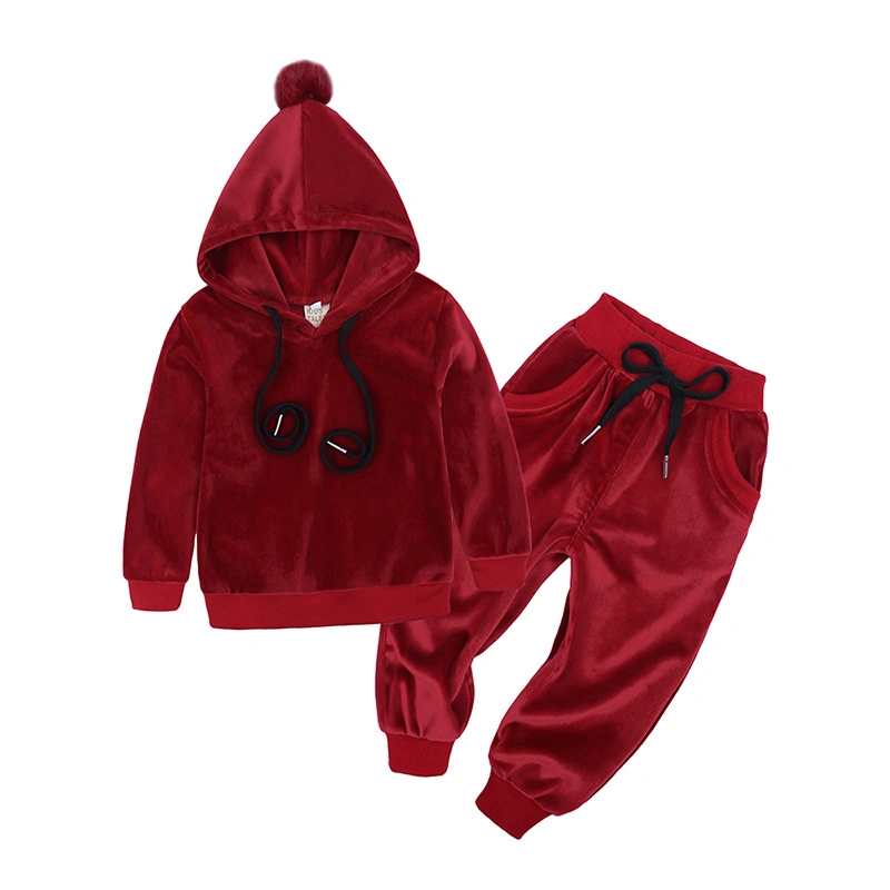 Custom Logo Hot Sale 100% Velvet Wing Decoration Winter Fashionable Baby Suit Kids Hoodies Set