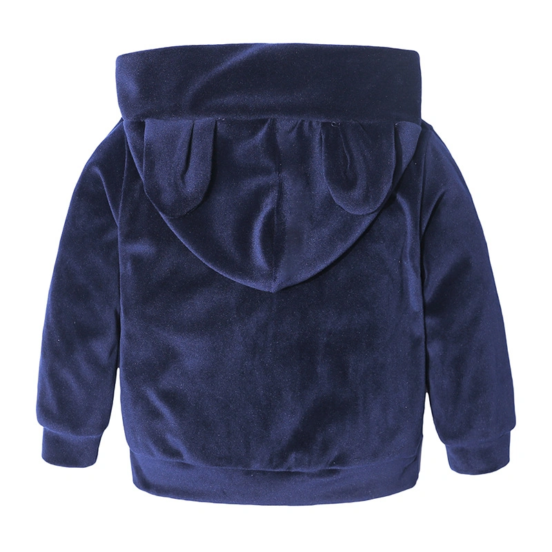 Custom Logo Hot Sale 100% Velvet Cute Style Winter Fashionable Baby Suit Kids Hoodies Set