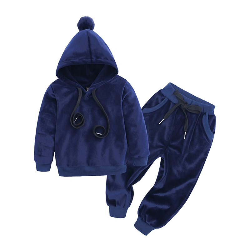 Custom Logo Hot Sale 100% Velvet Wing Decoration Winter Fashionable Baby Suit Kids Hoodies Set