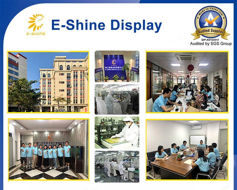 Custom/cheap monochrome plasma Blue Graphic STN/TV LCD Panel display manufacturers designs