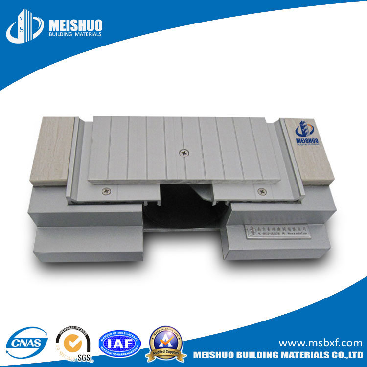 Construction Metal Expansion Joint in Concrete Slab