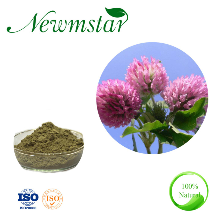ISO Organic Red Clover Extract Isoflavones Trifolium Pratense