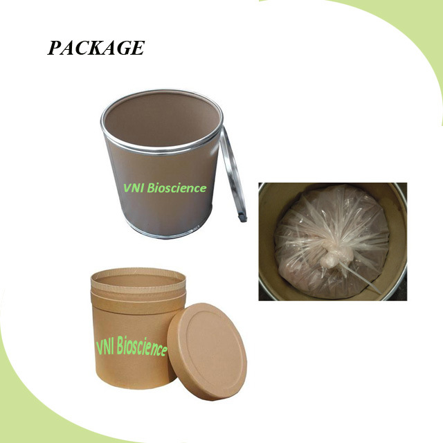 ISO SGS Certified Burdock Extract/Burdock Root Extract/Arctium Lappa Plant Extract