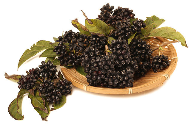 High Quality Siberian Ginseng Eleuthero Root Extract Powder