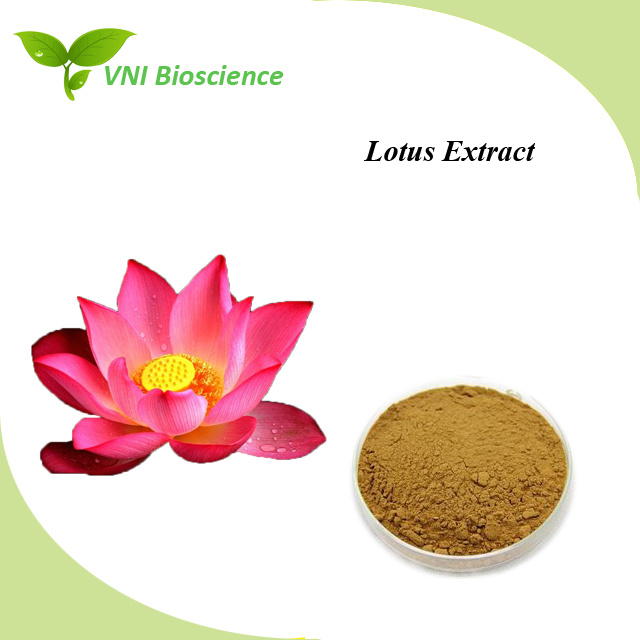 ISO SGS Certified Nuciferine /Lotus Extract/Nelumbo Nucifera Extract/Nelumbo Extract