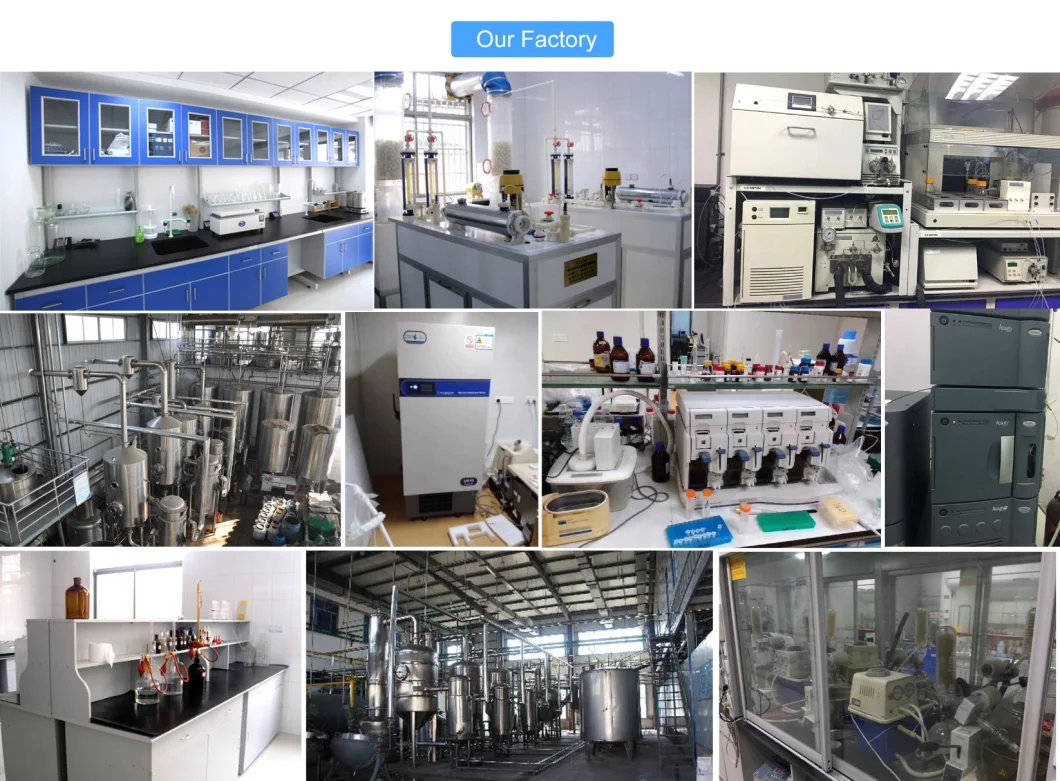 Andrographis Paniculata Extract 5508-58-7 Andrographolide