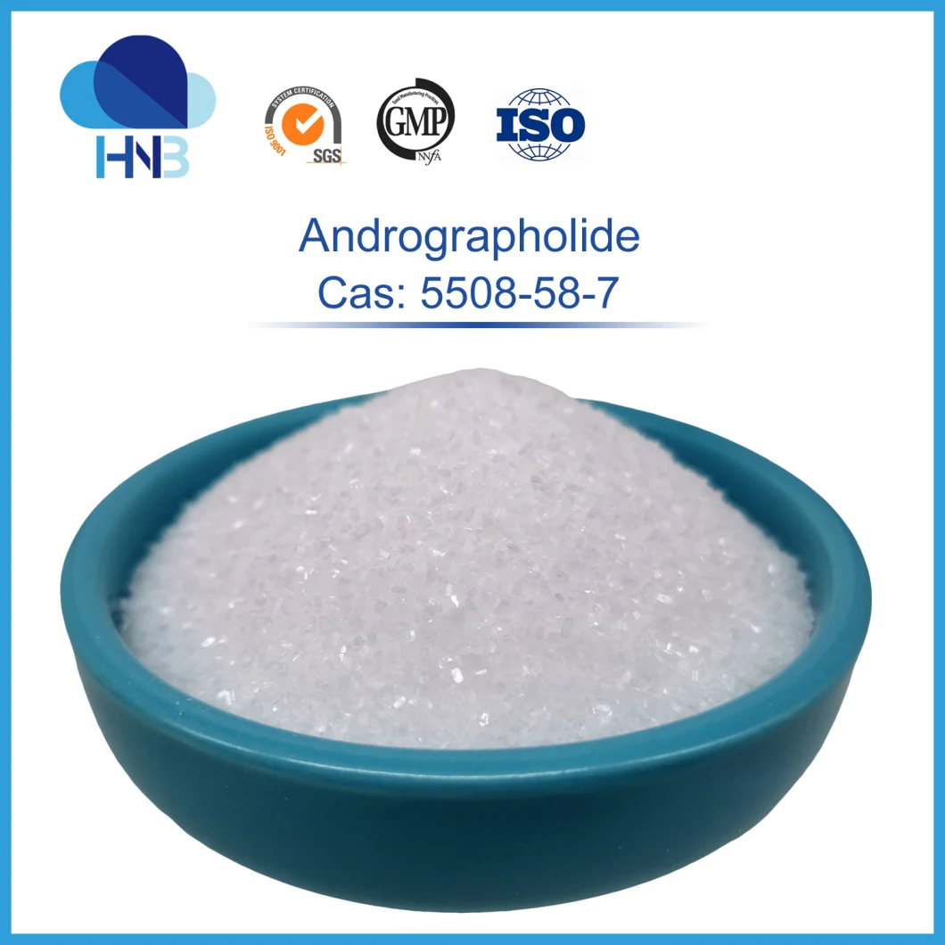 Andrographis Paniculata Extract 5508-58-7 Andrographolide