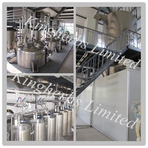 Pure and Organic Erusalem Artichoke Extract Inulin 80%~95% HPLC