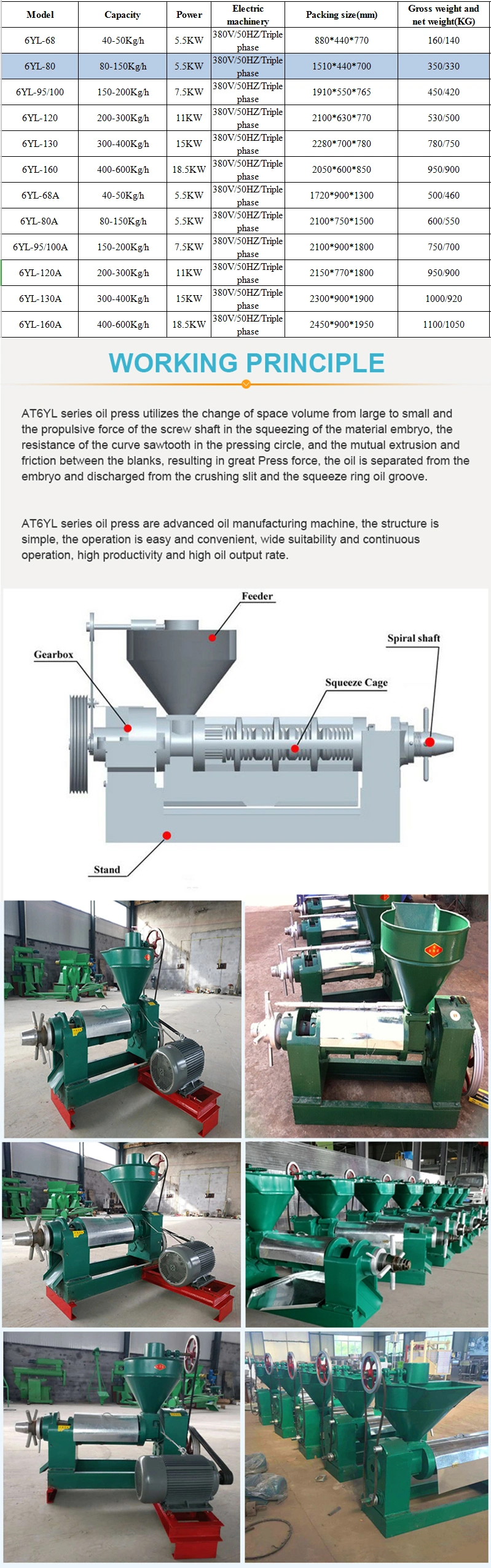Geranium Oil Extract Machine Mustard Oil Mill Fully Automatic Pomegranate Oil Seed Extractor Machine