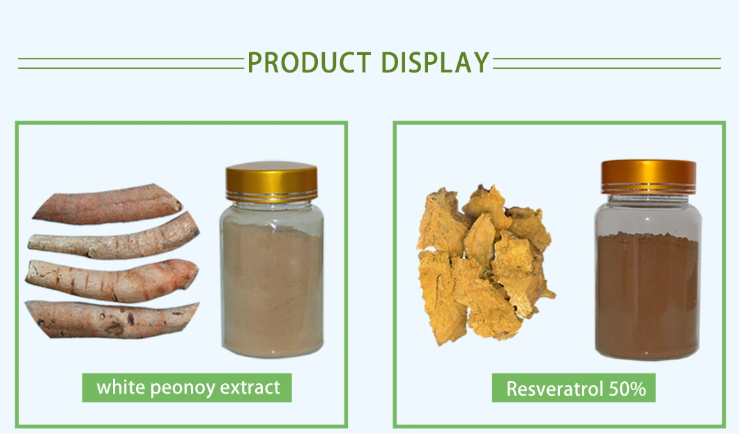 Rhus Chinensis Extract 40% Ellagic Acid Extracted From Gallnut