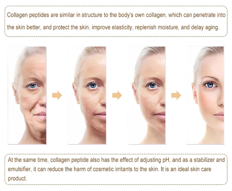 100% Pure Hydrolyzed Collagen Powder Type II Collagen