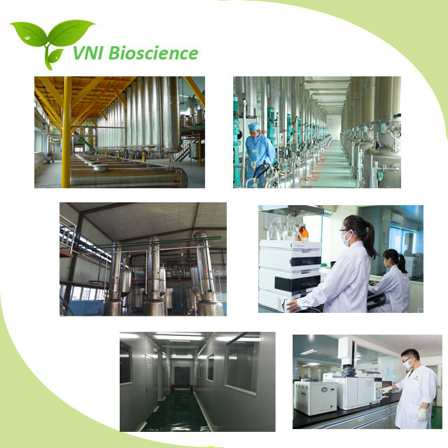 ISO Certified 100% Natural Grape Seed Extract for Anti-Aging