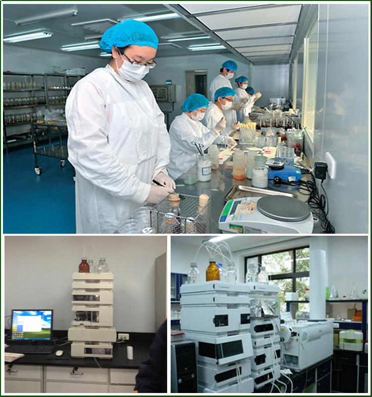 Chondroitin Sulfate Powder Chondroitin 4-Sulfate Chondroitin Sulfate a