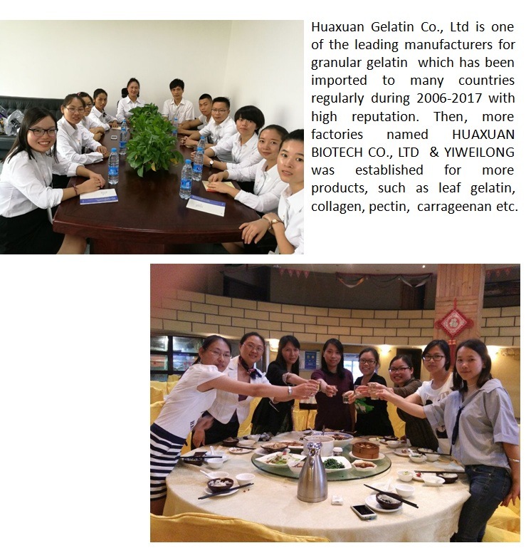 Skin Whitening Beauty Marine Collagen The Best Collagen Powder
