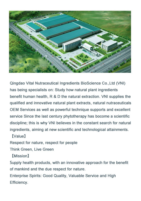 ISO Certified 100% Natural Grape Seed Extract for Anti-Aging