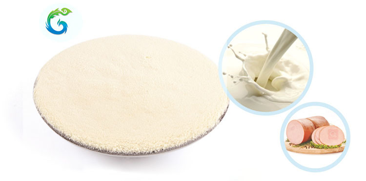 Best Selling Halal China 100% Hydrolyzed Bovine Collagen Peptide Powder