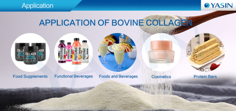 Hydrolyzed Health Supplements Bovine Collagen Peptide