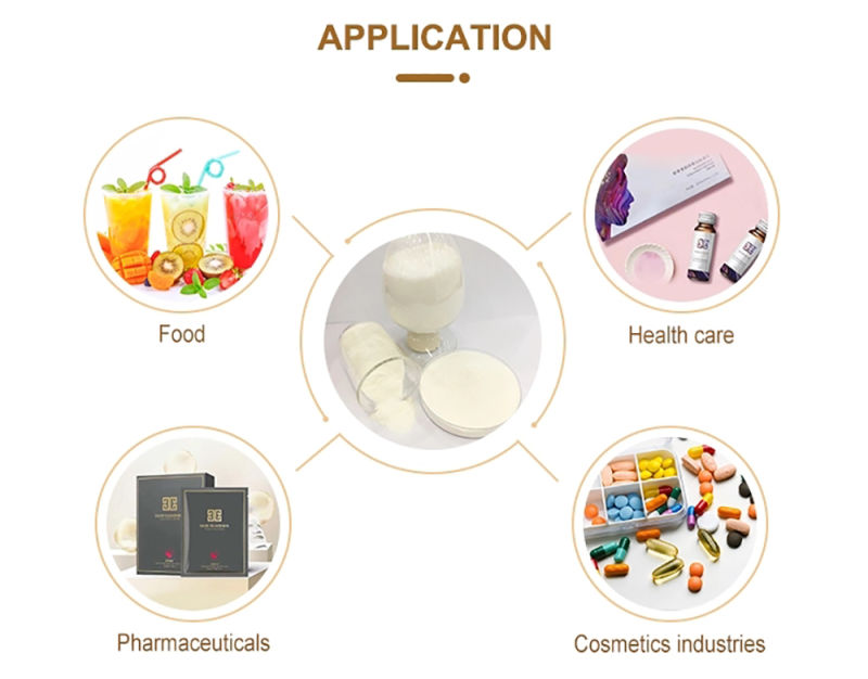 100% Pure Hydrolyzed Collagen Powder Type II Collagen