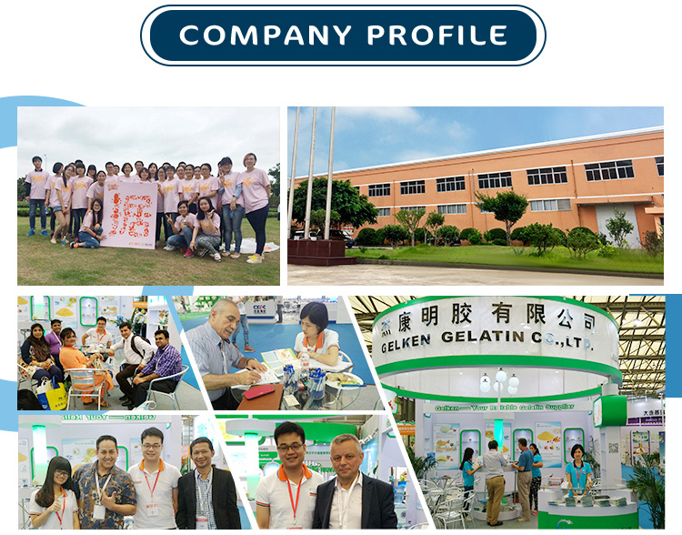 Supply High Quality Hydrolyzed Collagen / Fish Collagen