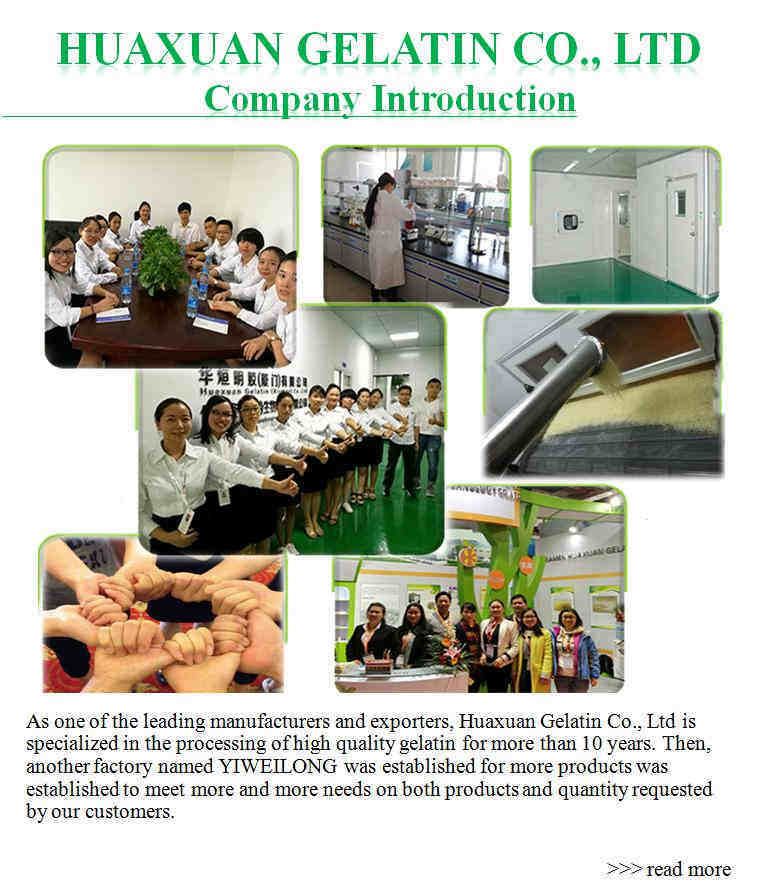 Codfish Collagen Powder