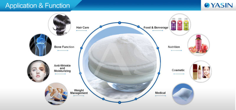 Fish Collagen Wholesale to Canada