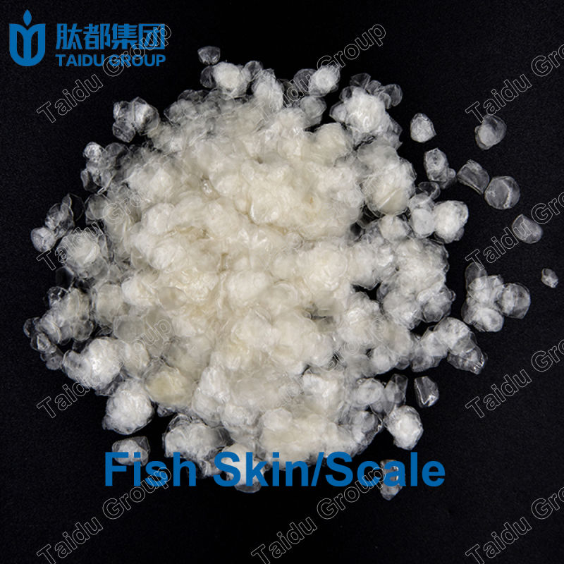 100% Collagen Fish Powder/Fish Collagen Powder Halal